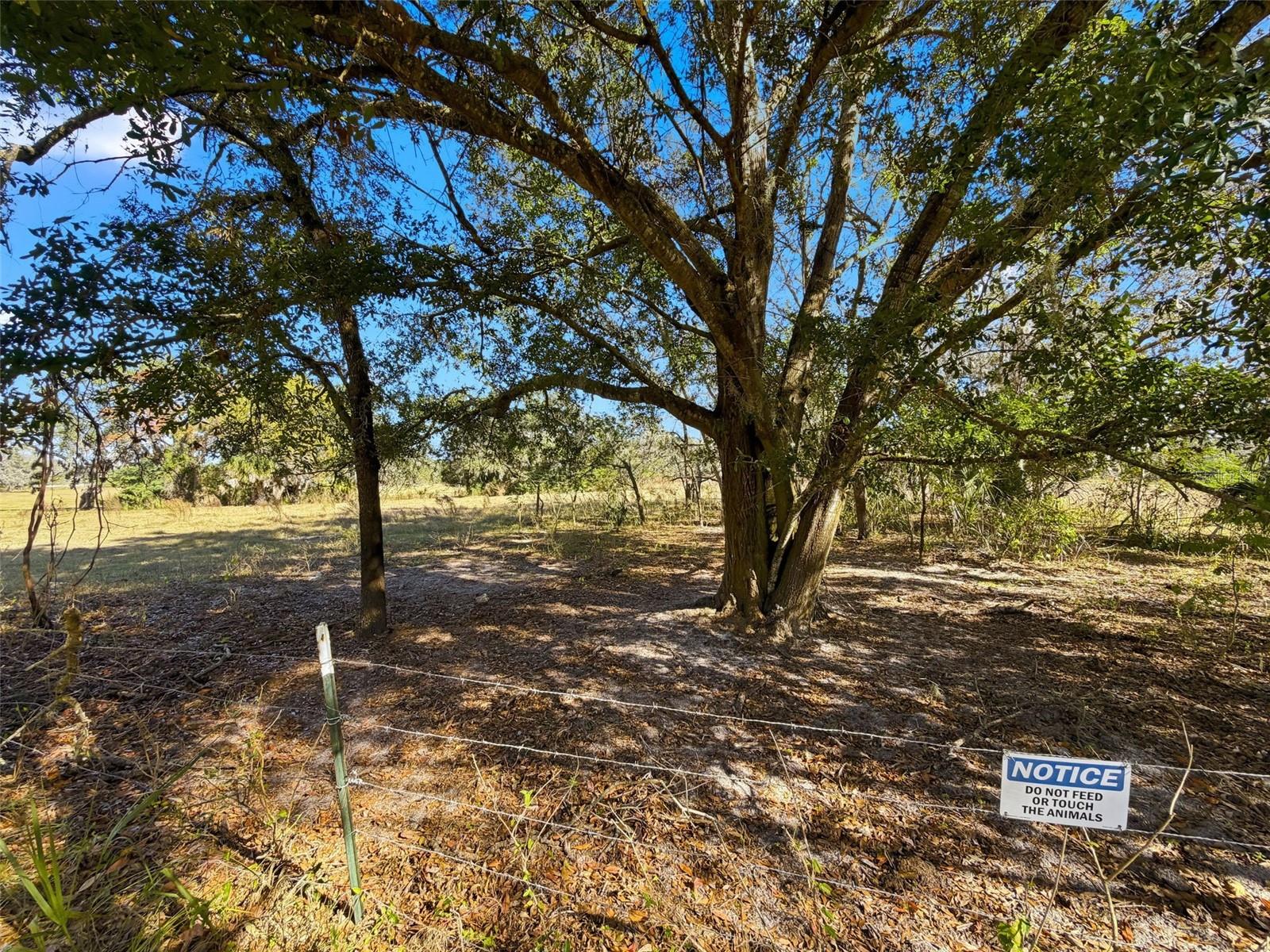 FAIRWAY OAKS - Residential