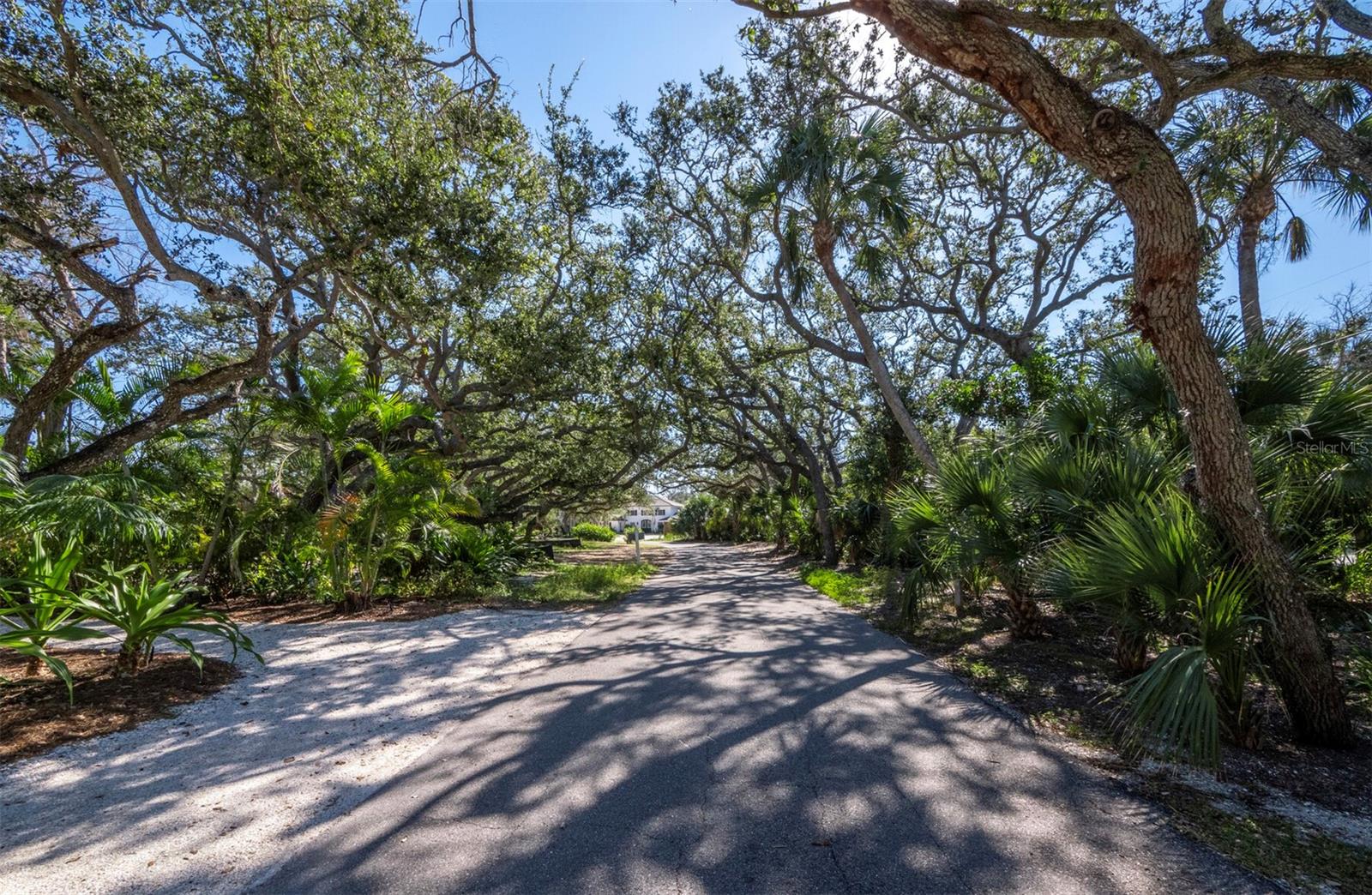 SIESTA PROPERTIES INC - Land