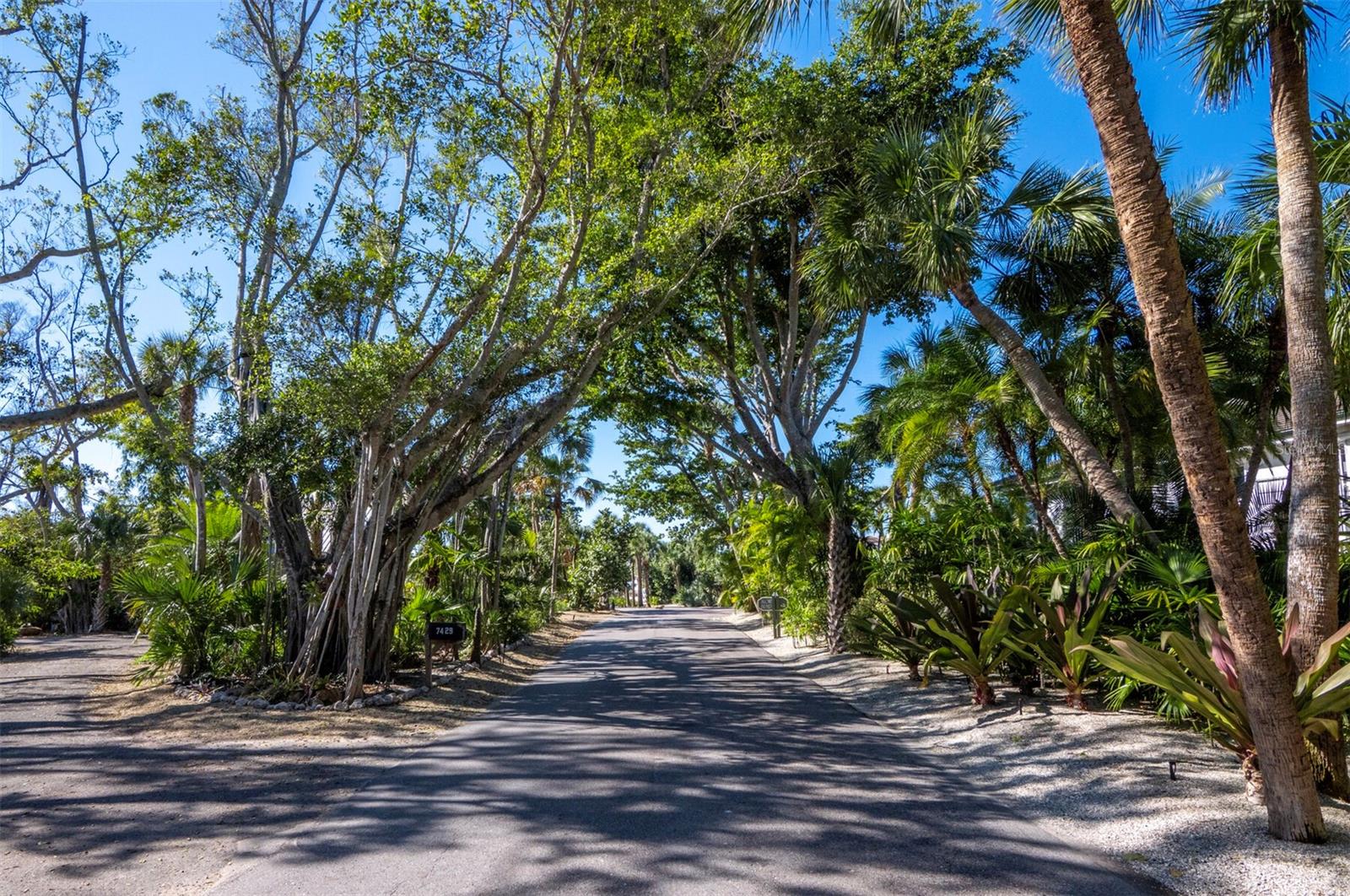 SIESTA PROPERTIES INC - Land