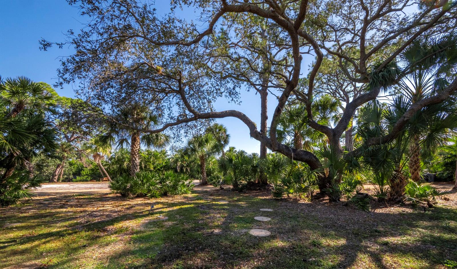 SIESTA PROPERTIES INC - Land