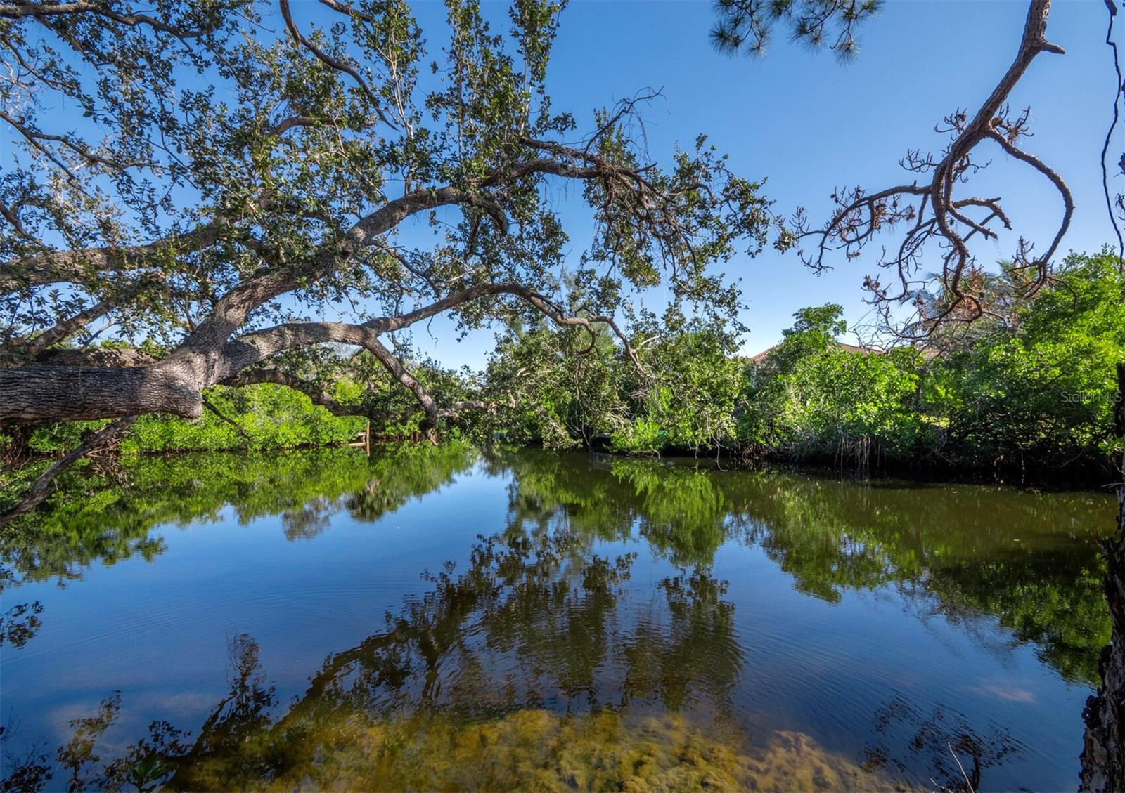 SIESTA PROPERTIES INC - Land