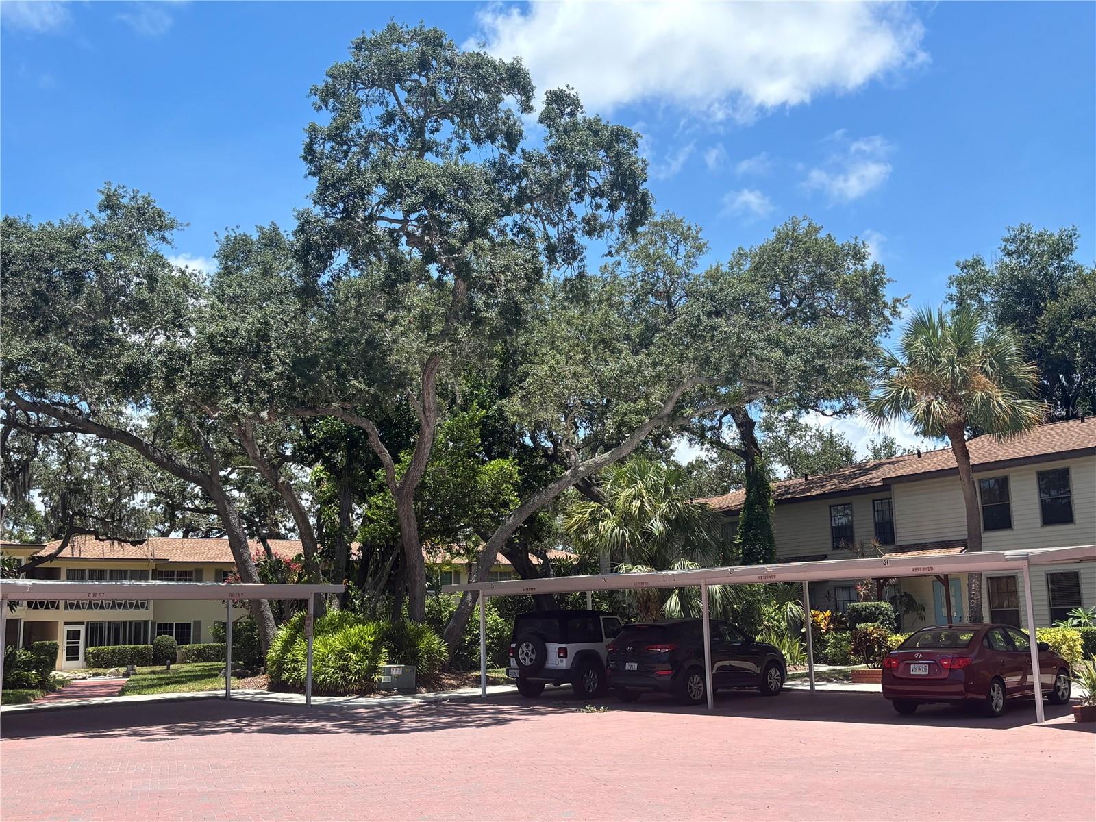 1515 BAYSHORE BOULEVARD 26