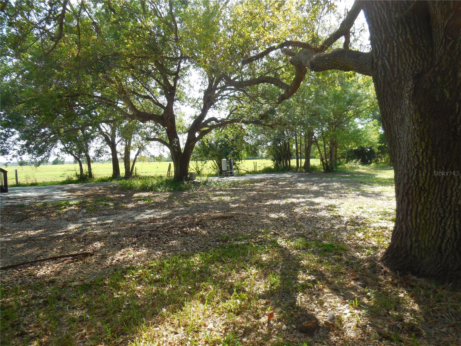 BONANZA PARK - Residential