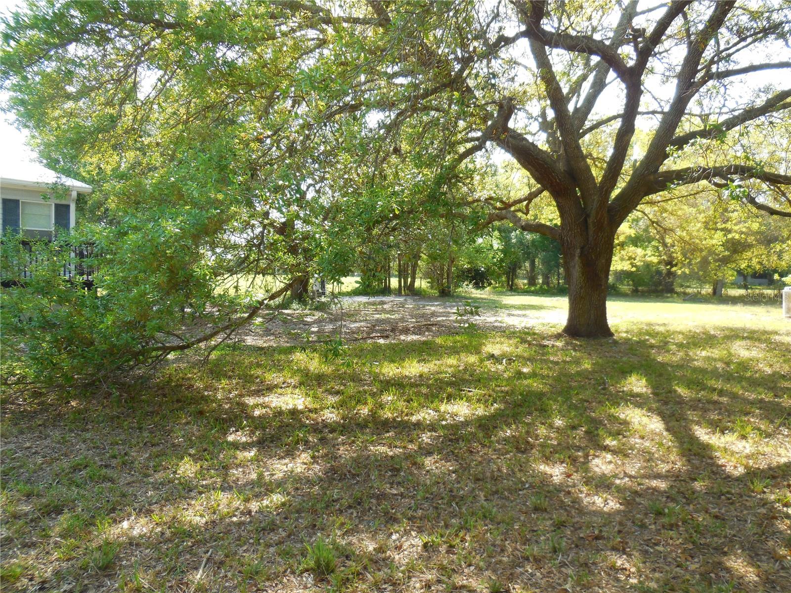 BONANZA PARK - Residential