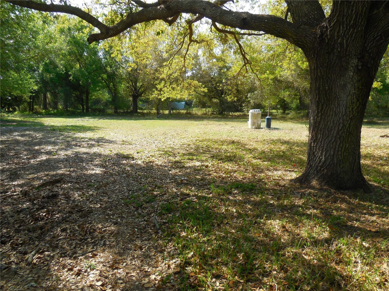 BONANZA PARK - Residential