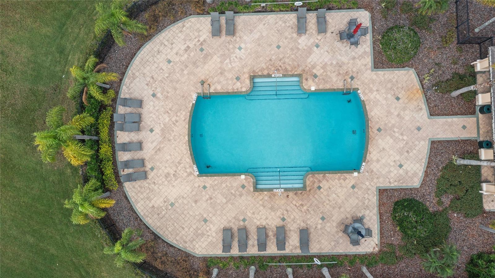 EDGEWATER AT LAKE BRANDON - Residential Lease