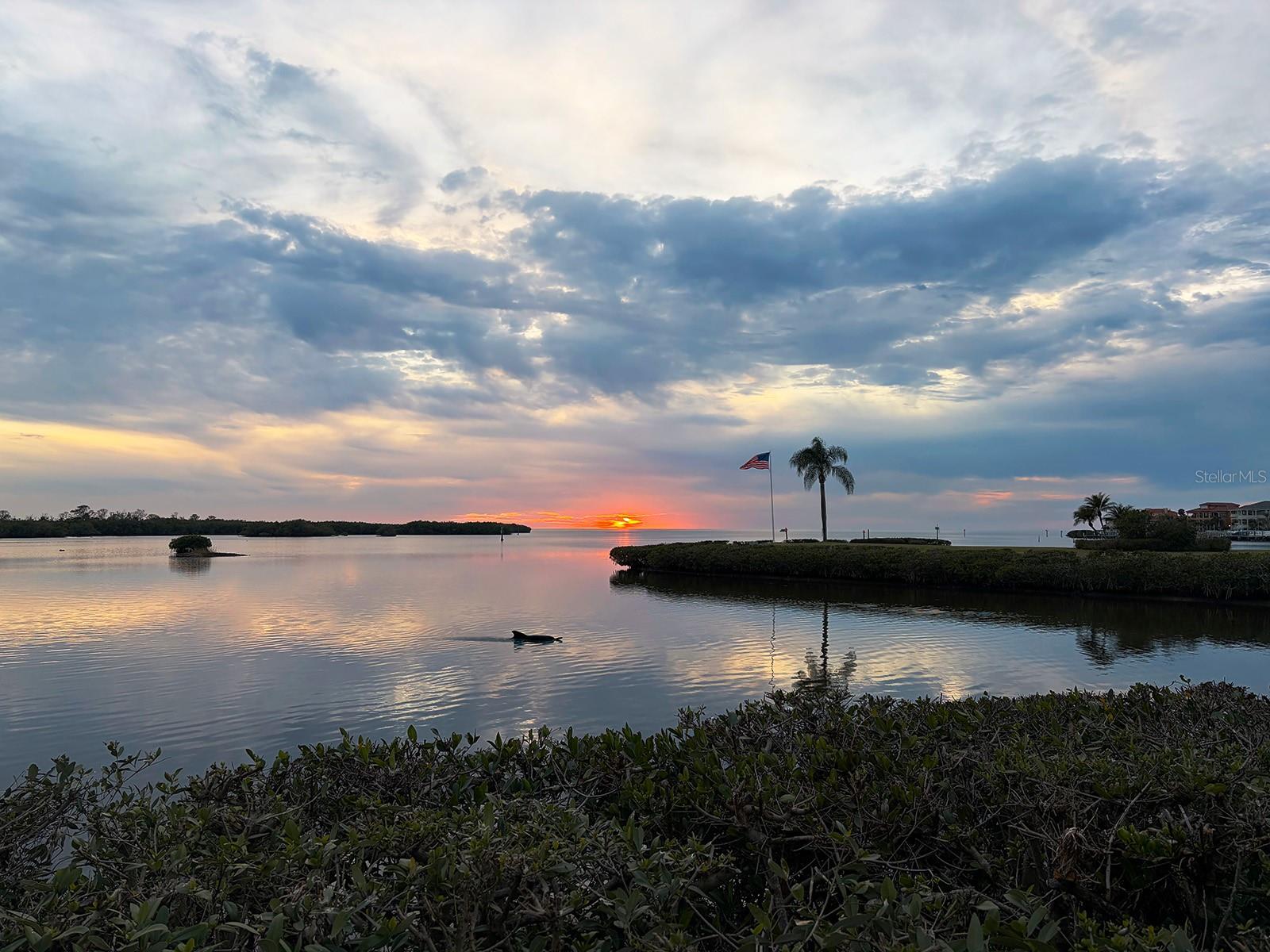 SAND PEBBLE POINTE CONDO 03 - Residential