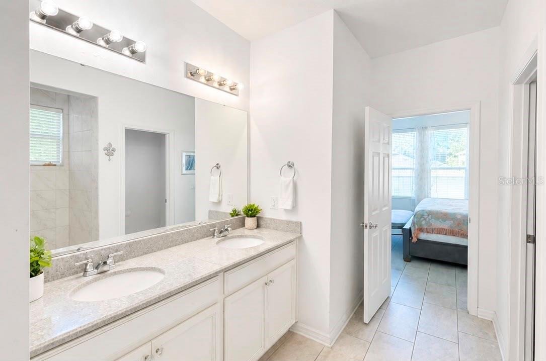 2822 BIGLEAF MAPLE DRIVE