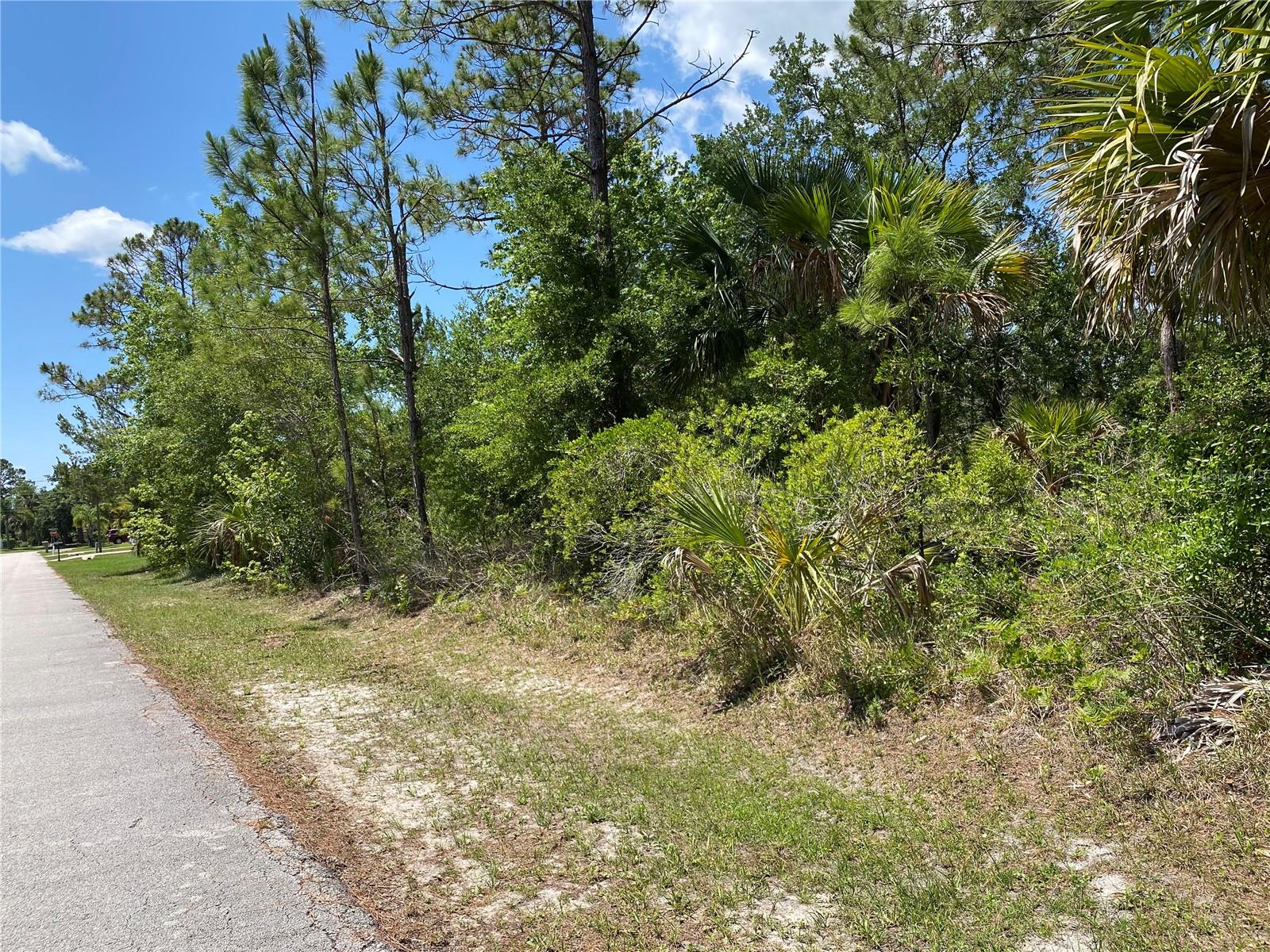 Location, location, location! Build your dream home in this established neighborhood in the heart of Palm Coast. Conveniently located close to shopping, schools, new state-of-the-art recreation center and so much more! Only a short drive to the beach. No timeline requirement to build and no HOA - this property provides maximum flexibility for your future home! Adjacent lot is also available for sale if you are dreaming of a larger space to create your sanctuary. Palm Coast is located between St Augustine and Daytona Beach providing many opportunities and conveniences for life, work and play.