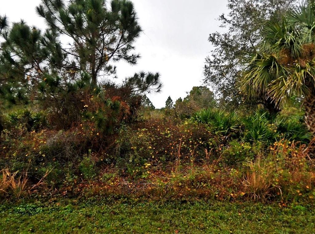 Photo of Lenape Lane, North Port, FL 34291 (MLS # C7504538)