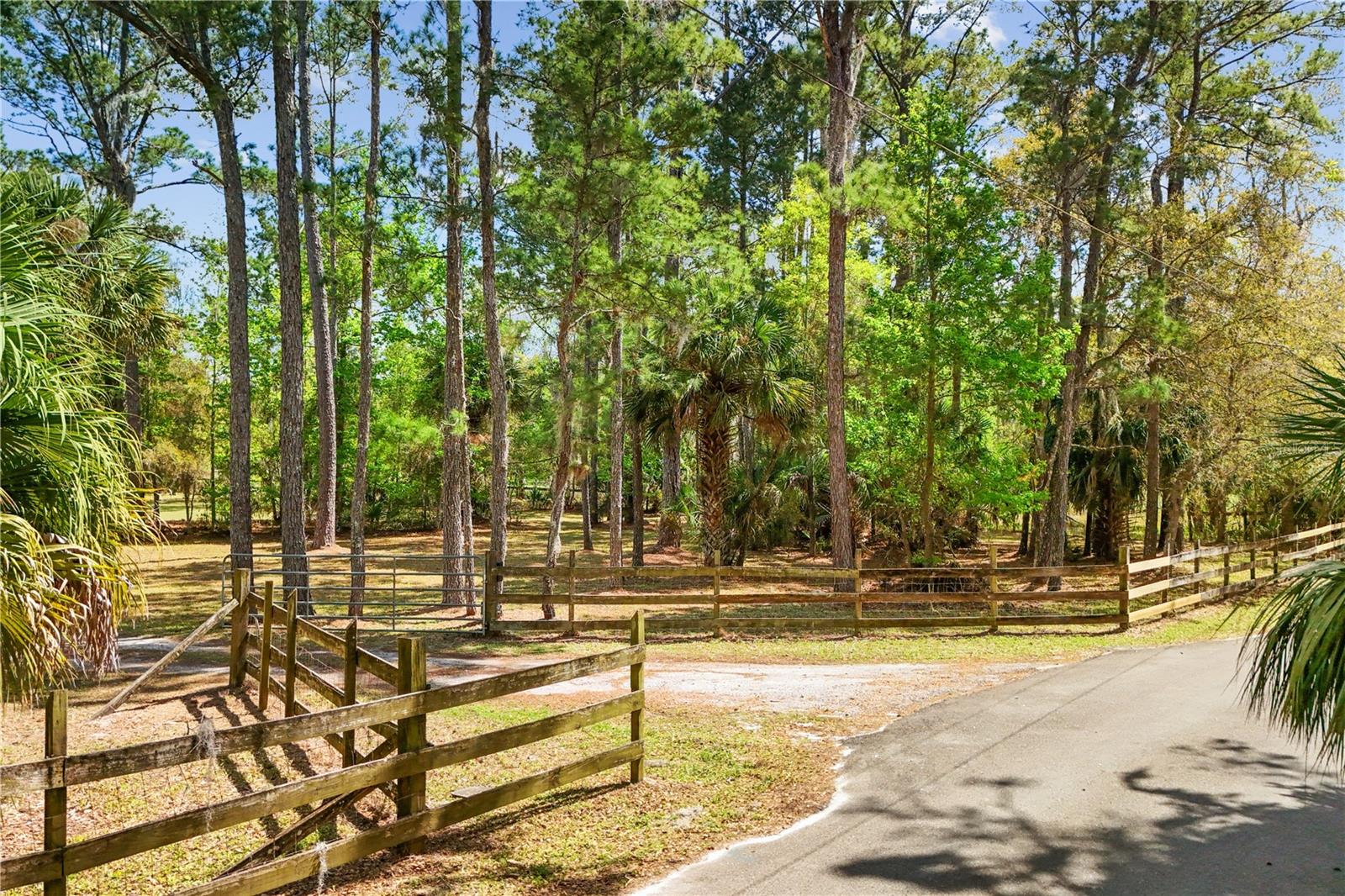FLORIDA GROVES COMPANYS FIRST ADD TO BLACK HAMMOCK - Residential