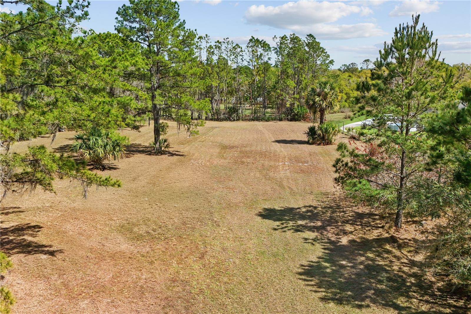 FLORIDA GROVES COMPANYS FIRST ADD TO BLACK HAMMOCK - Residential