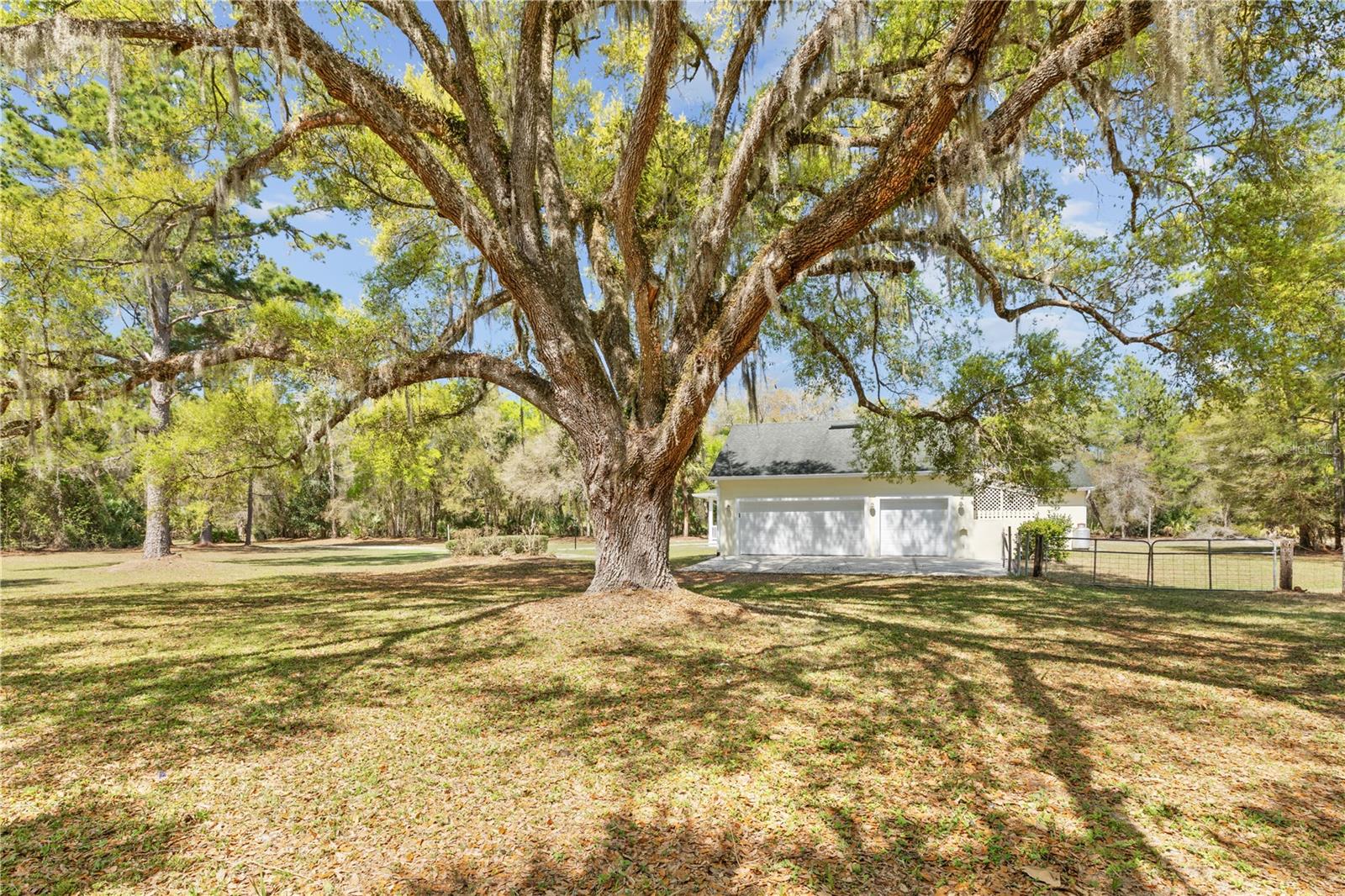 FLORIDA GROVES COMPANYS FIRST ADD TO BLACK HAMMOCK - Residential