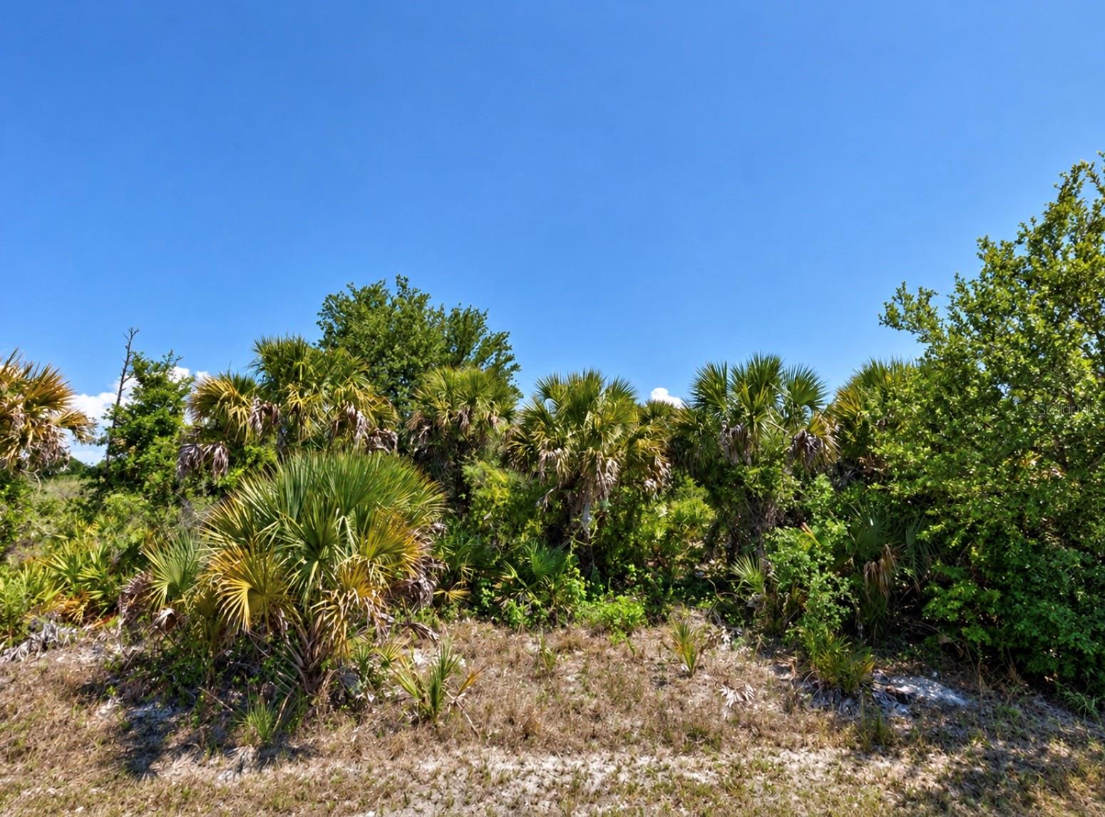 PONDS STREET, NORTH PORT, FL, 34286 2 PONDS STREET