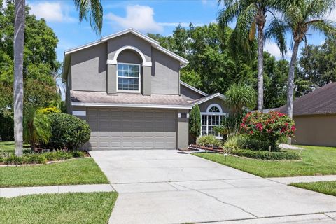 4047 EAGLE COVE WEST DRIVE PALM HARBOR FL 34685
