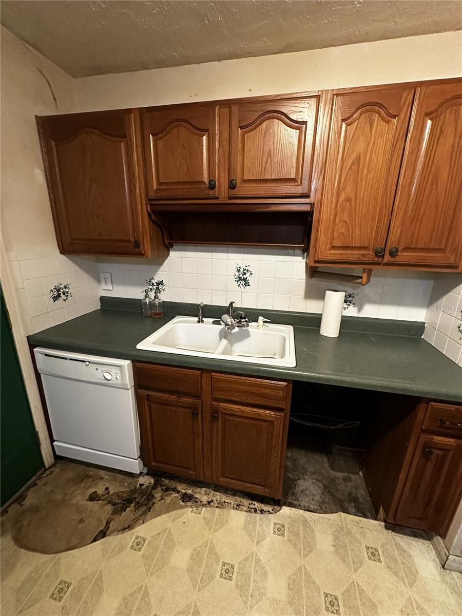 GOLFLAND OF TAMPAS NORTH SIDE - Residential