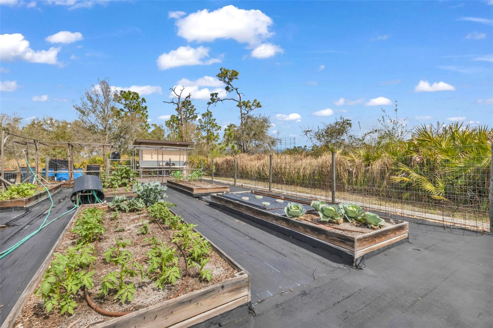 PUNTA GORDA RANCHES AMD - Residential