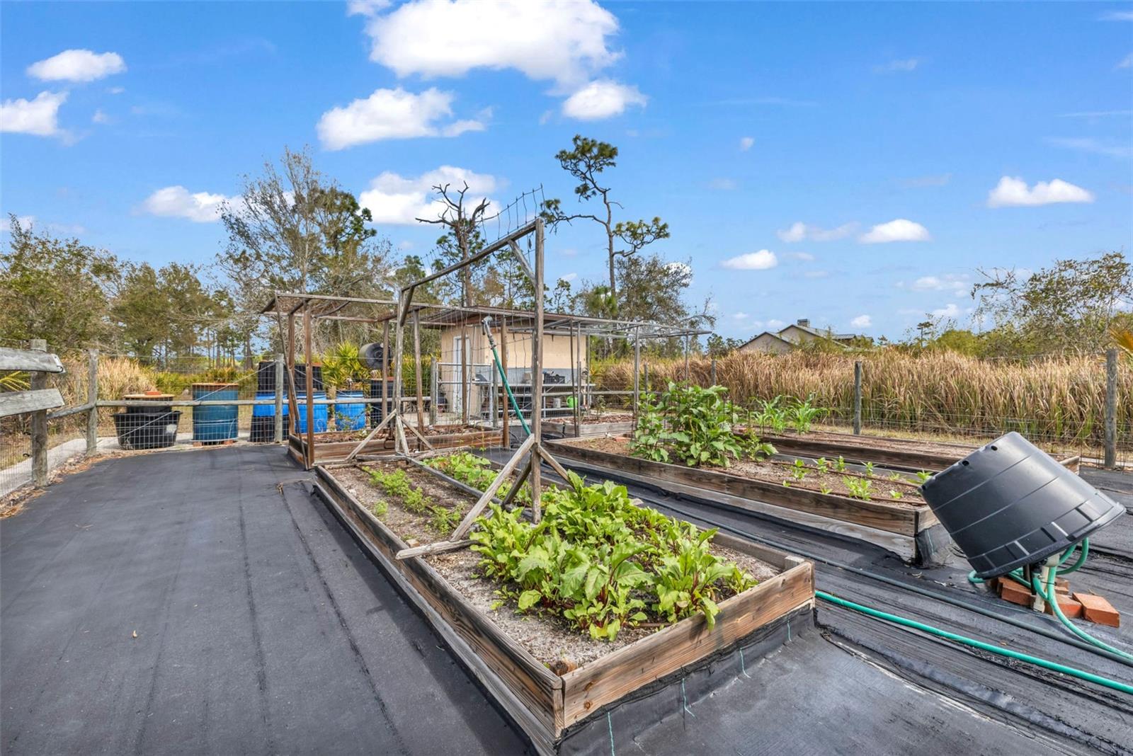 PUNTA GORDA RANCHES AMD - Residential