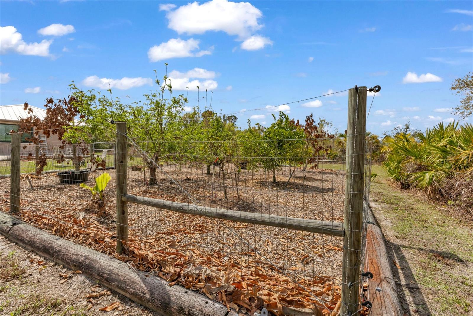 PUNTA GORDA RANCHES AMD - Residential