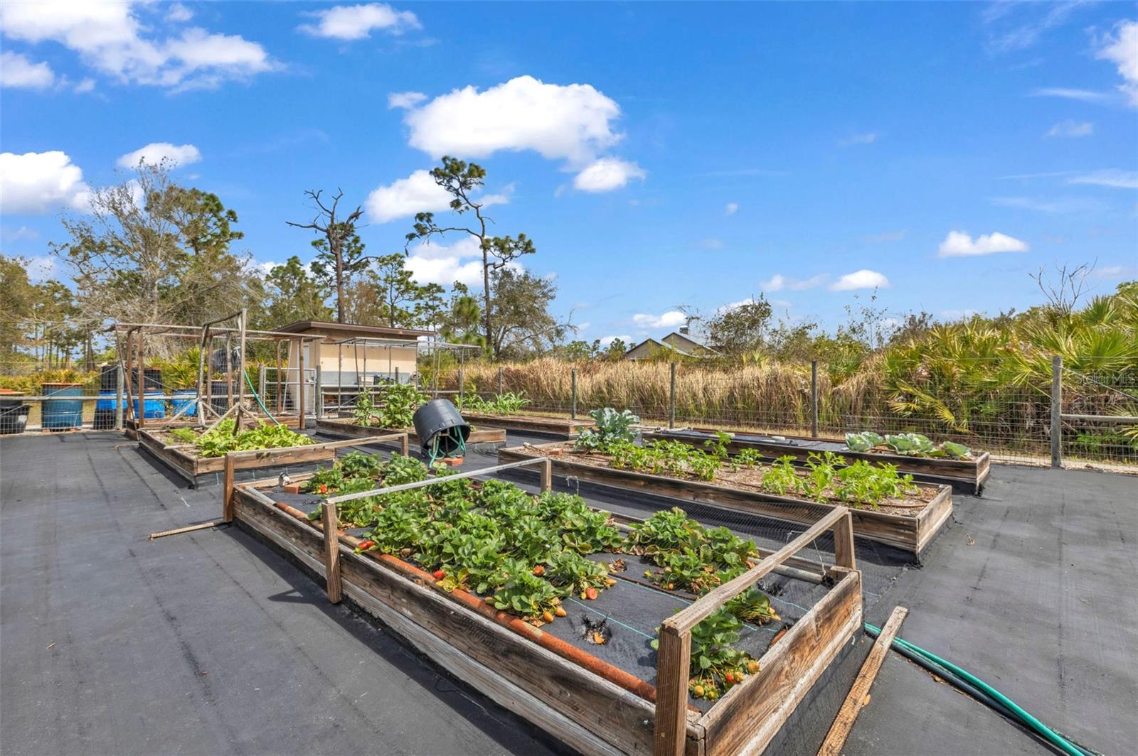 PUNTA GORDA RANCHES AMD - Residential