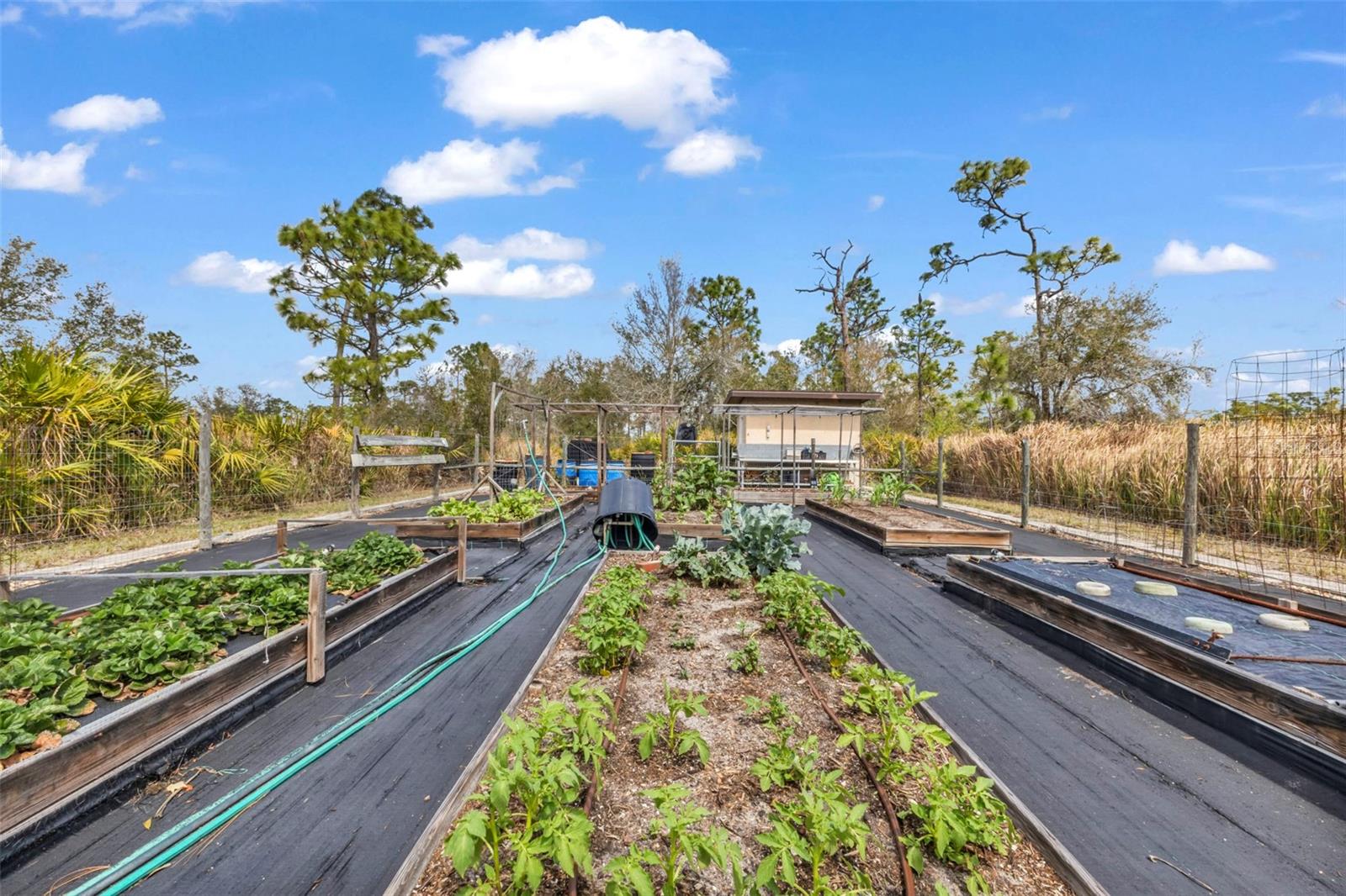 PUNTA GORDA RANCHES AMD - Residential