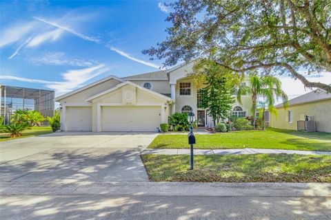 A home in TAMPA