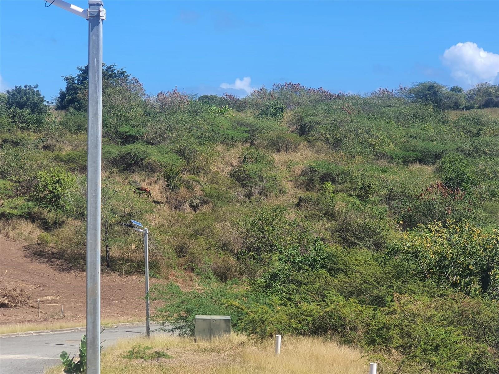 POSADA DEL CORONEL - Land