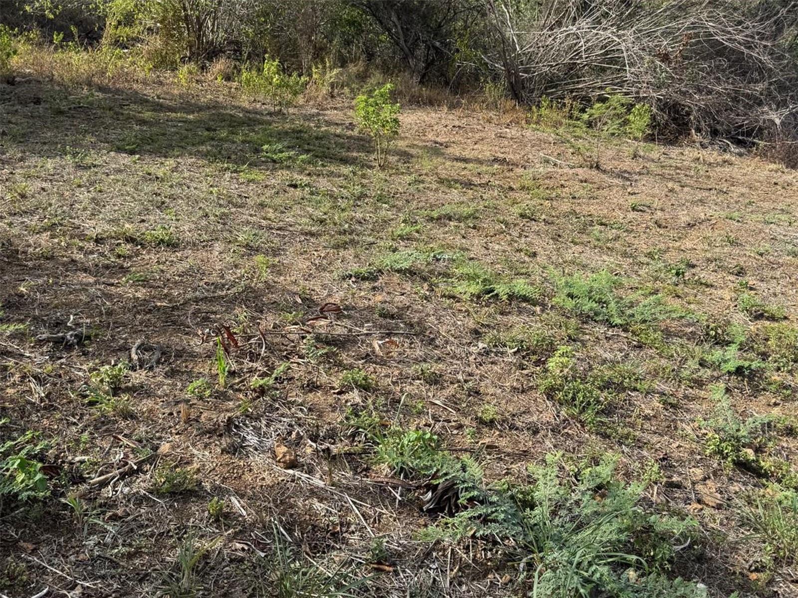 POSADA DEL CORONEL - Land