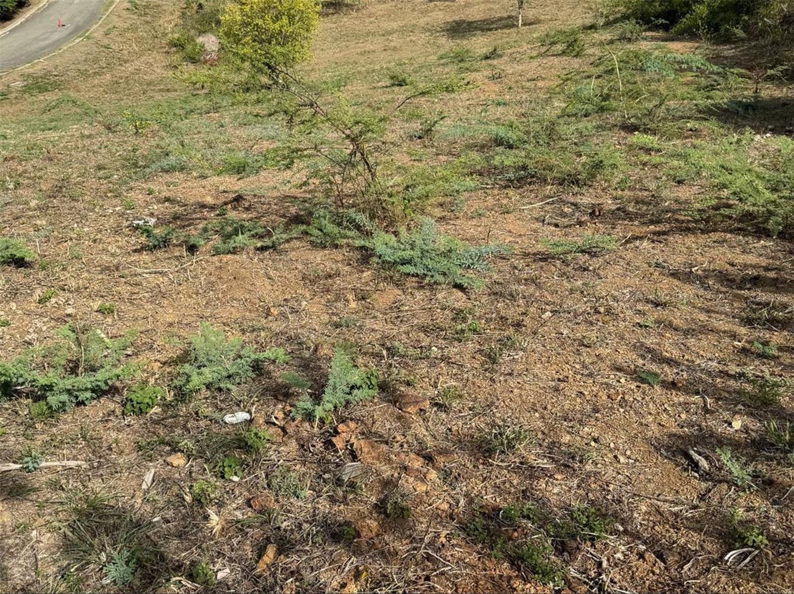 POSADA DEL CORONEL - Land