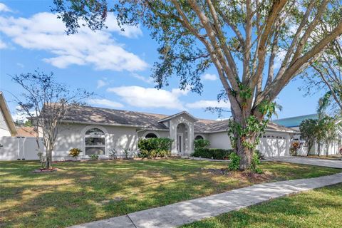 A home in VALRICO