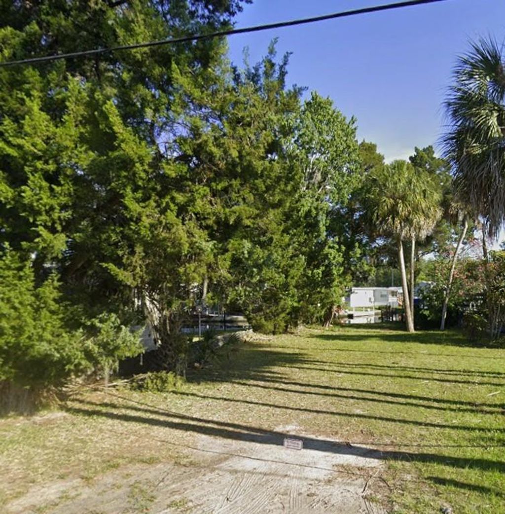 Photo of 10199 W Blue Springs Court, Homosassa, FL 34448 (MLS # OM713997)