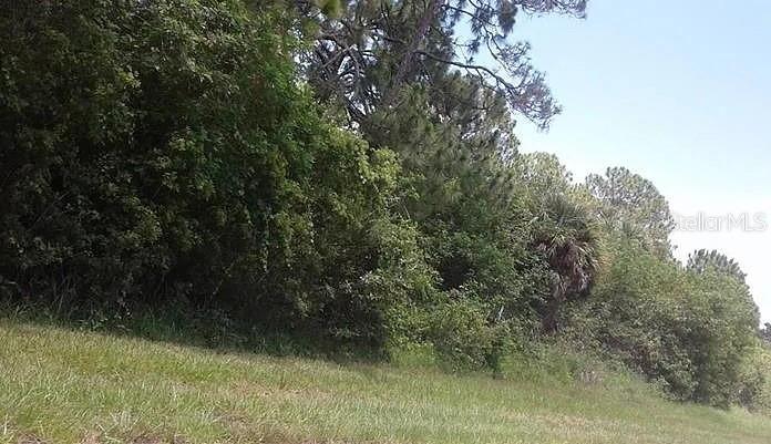 Photo of 11988 Waterman Avenue, Port Charlotte, FL 33981 (MLS # C7531762)