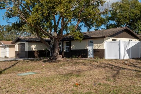 Photo of 11234 Areca Drive, Port Richey, FL 34668 (MLS # TB8460755)