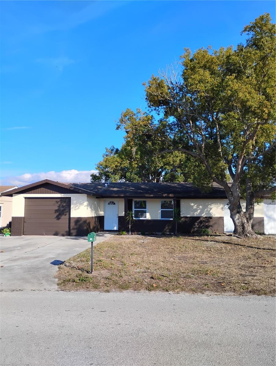 PALM TERRACE GARDENS - Residential