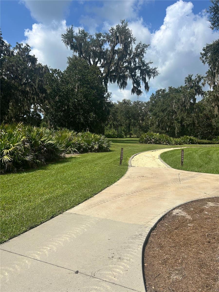 VILLAGE/FENNEY PALMETTO VILLAS - Residential