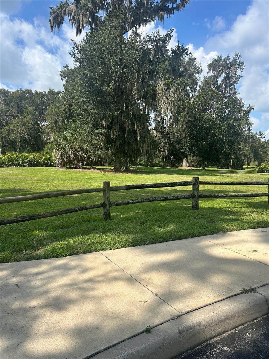 VILLAGE/FENNEY PALMETTO VILLAS - Residential