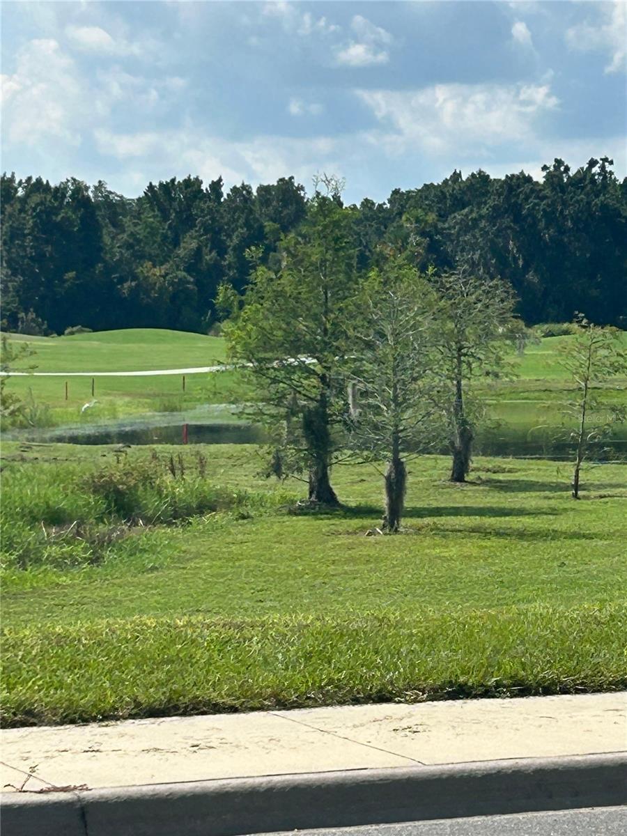 VILLAGE/FENNEY PALMETTO VILLAS - Residential