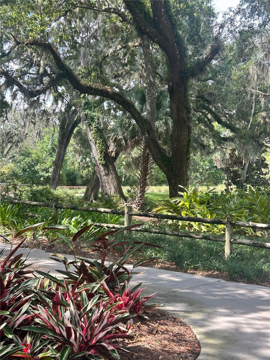 VILLAGE/FENNEY PALMETTO VILLAS - Residential