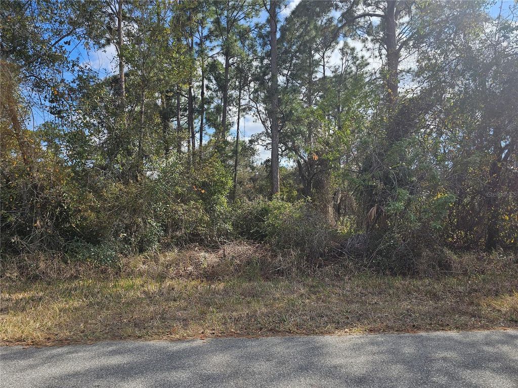 Photo of 241 Phantasy Avenue, Lake Placid, FL 33852 (MLS # P4937865)