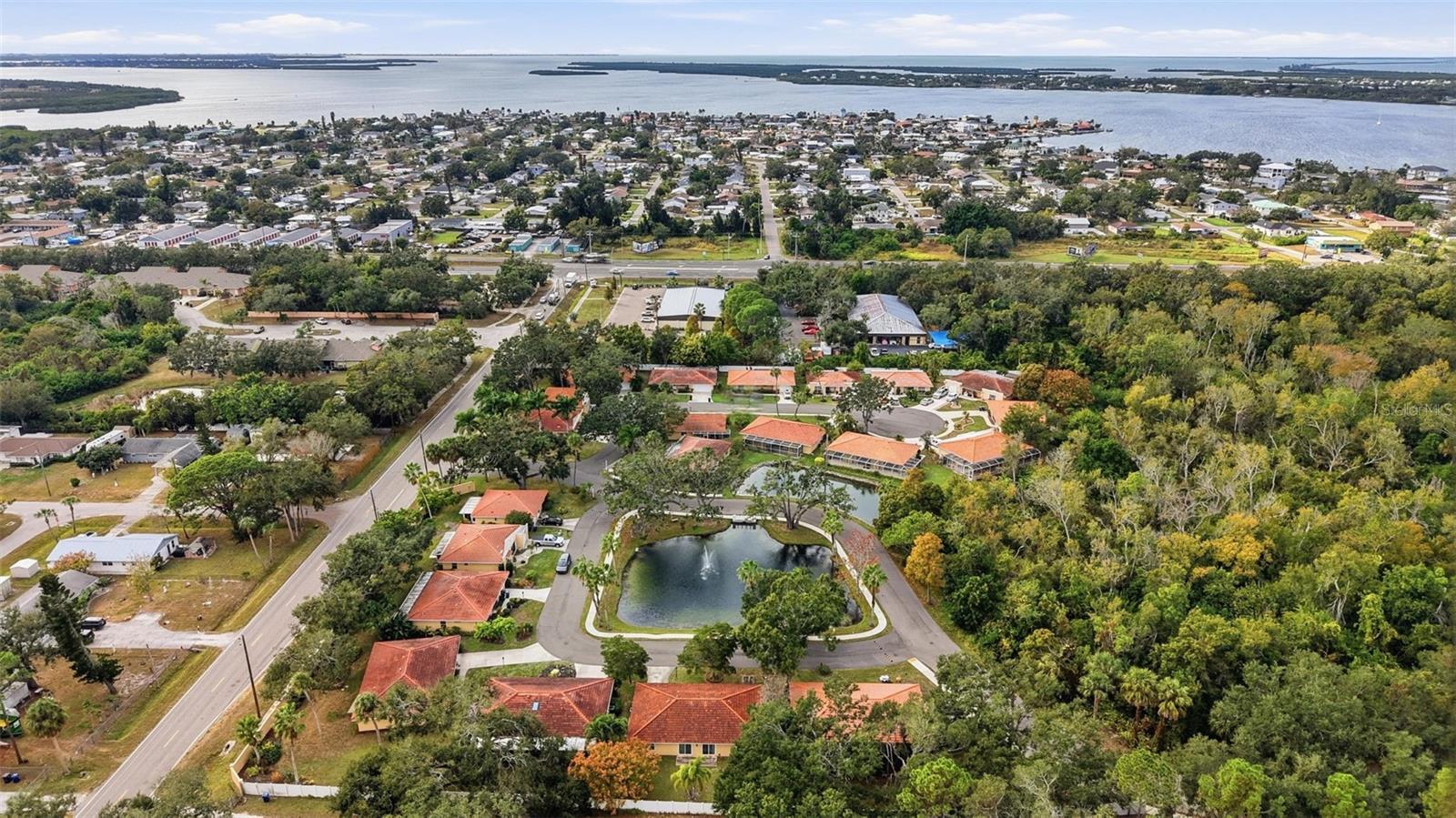 PALMS OF MANASOTA - Residential