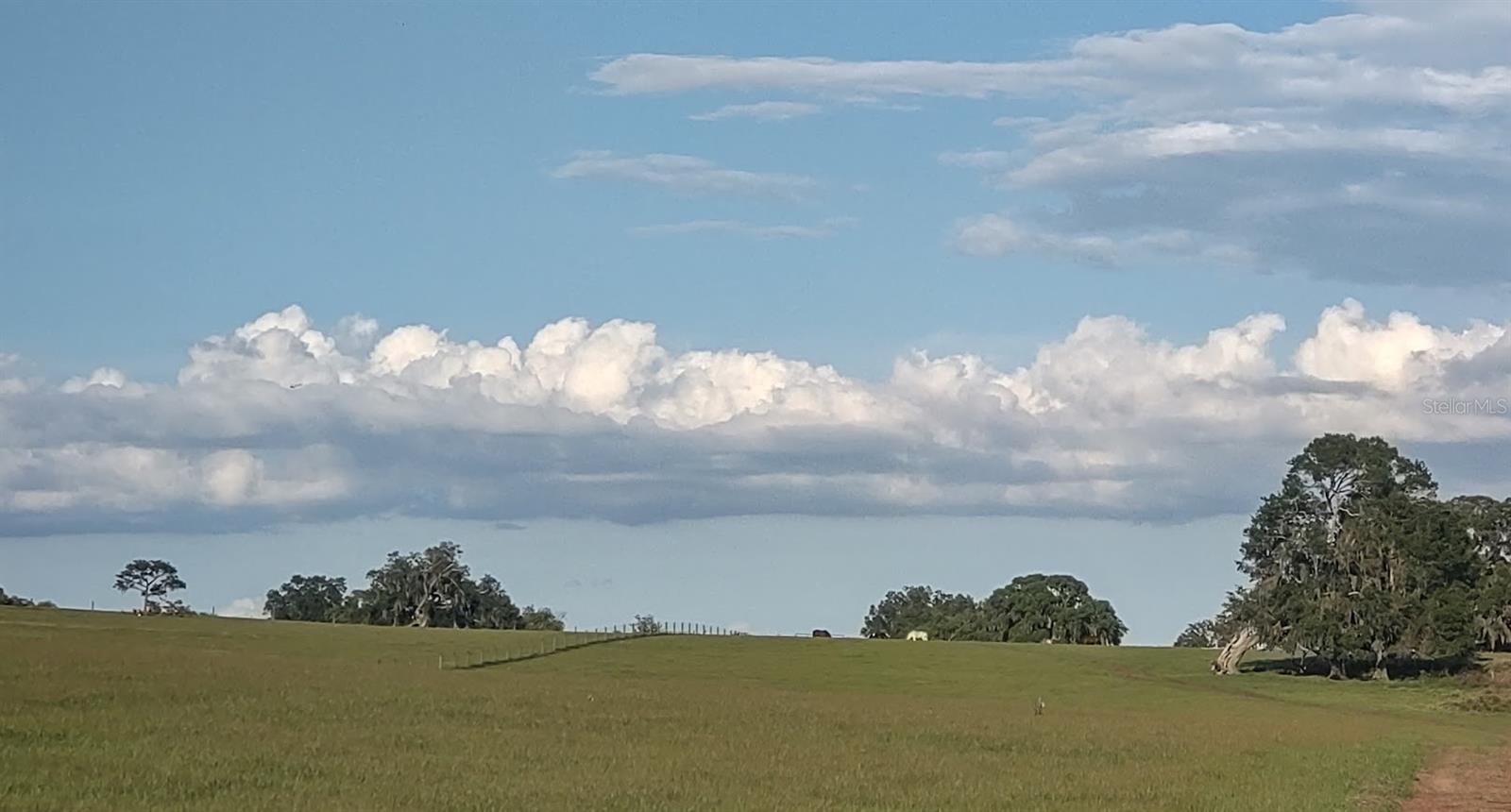 8385 S PLEASANT GROVE ROAD