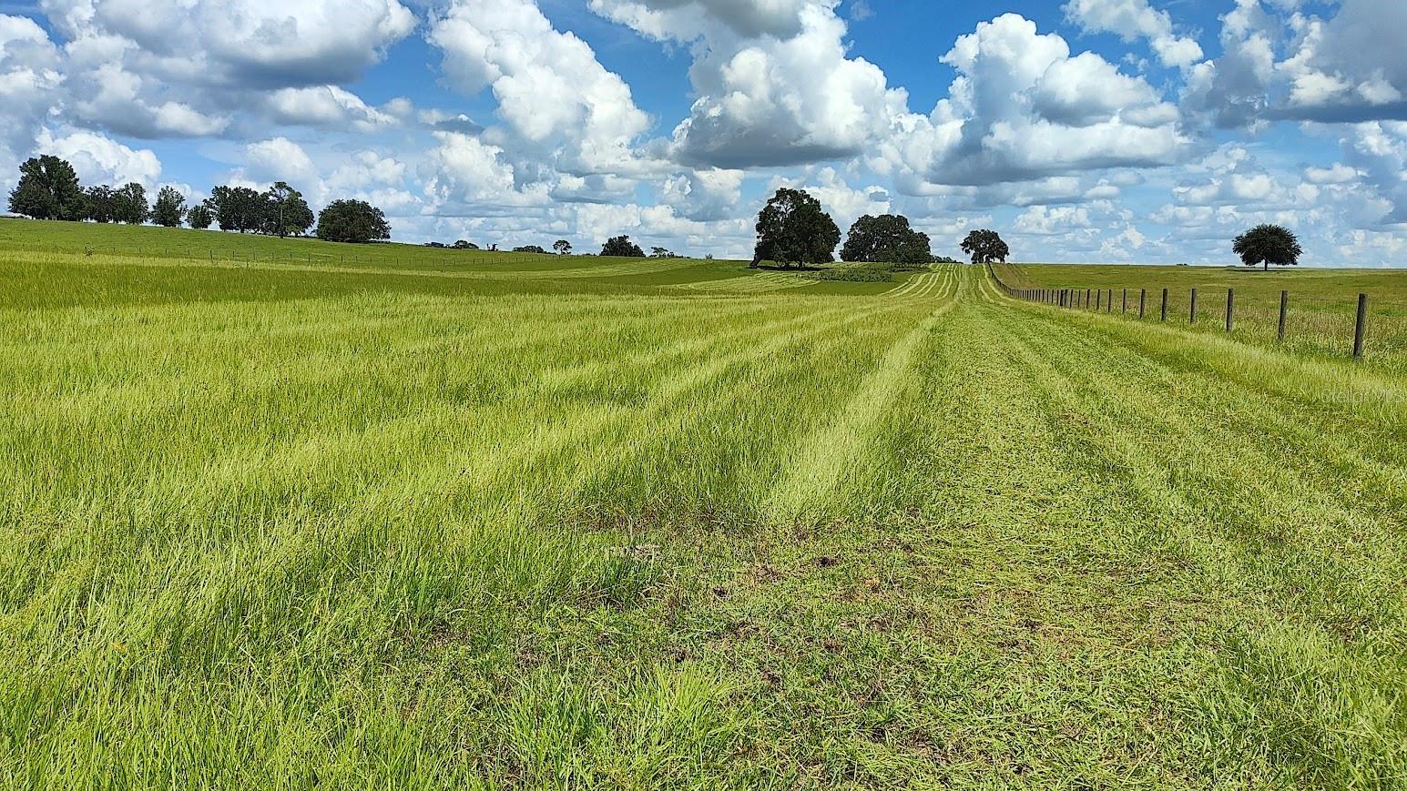 8385 S PLEASANT GROVE ROAD