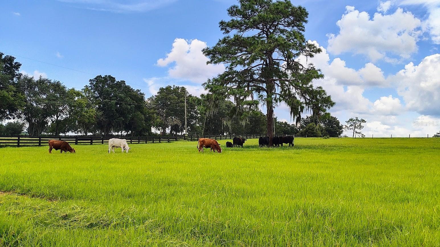 8385 S PLEASANT GROVE ROAD