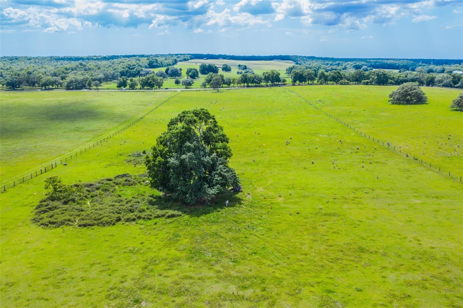 8385 S PLEASANT GROVE ROAD