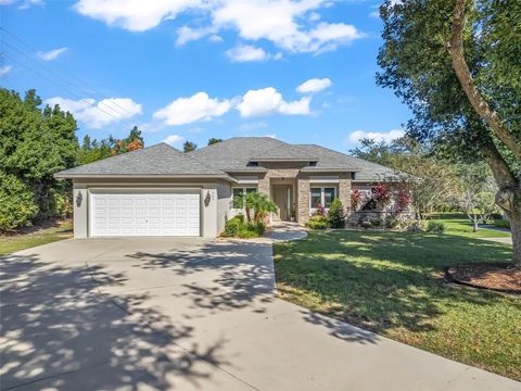 562 DOWLING CIRCLE LADY LAKE FL 32159
