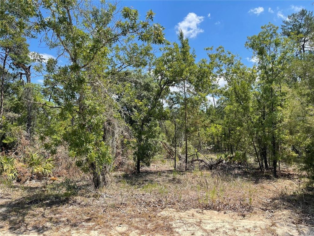 Photo of 47 Lone Pine Street, Homosassa, FL 34446 (MLS # TB8476293)