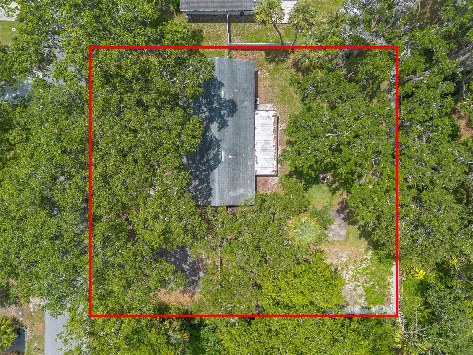 1624 QUEEN PALM DRIVE
