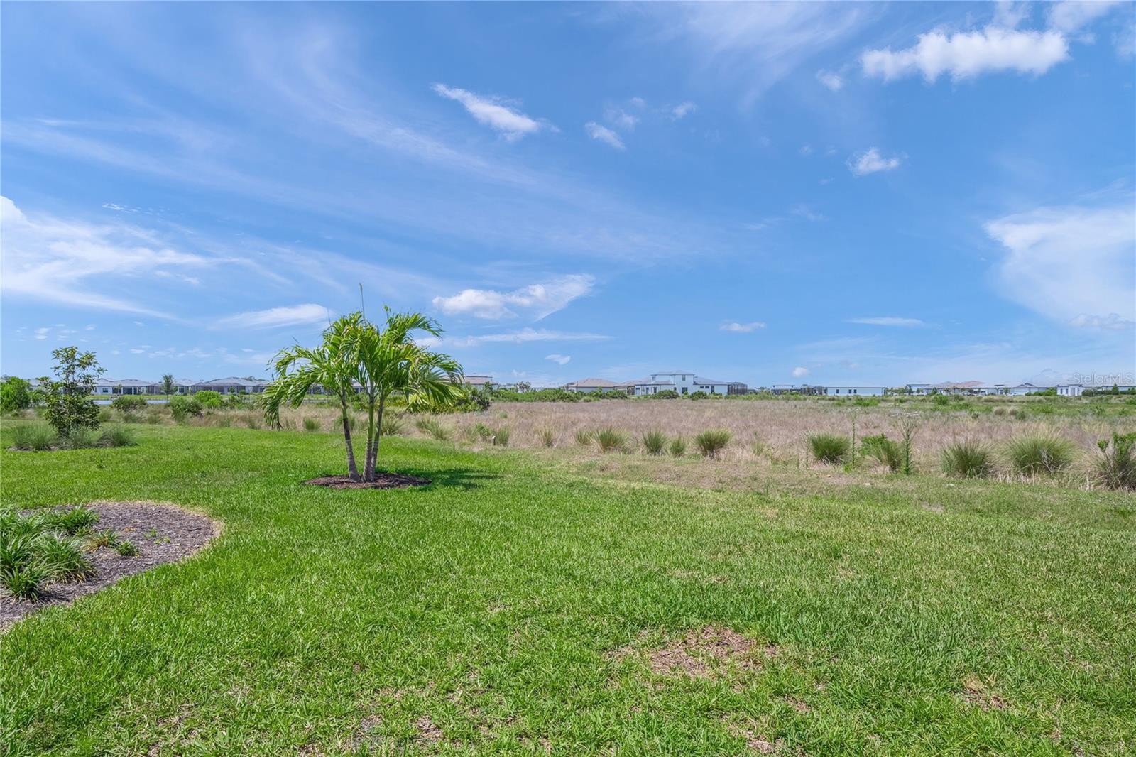 TALON PRESERVE ON PALMER RANCH - Residential