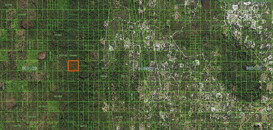 This wooded lot is located in the River Ranch Property Owner's Association camping area. You can hunt and ride your ATV's, side by sides and buggies through thousands of acres of Florida's nature. This lot has not been used or cleared and does not have any roads leading to it.