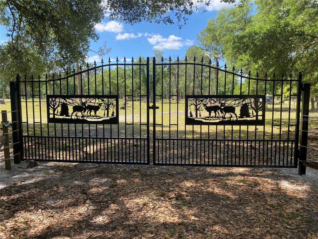 Photo of Crystal Springs Road, Crystal Springs, FL 33524 (MLS # T3292901)